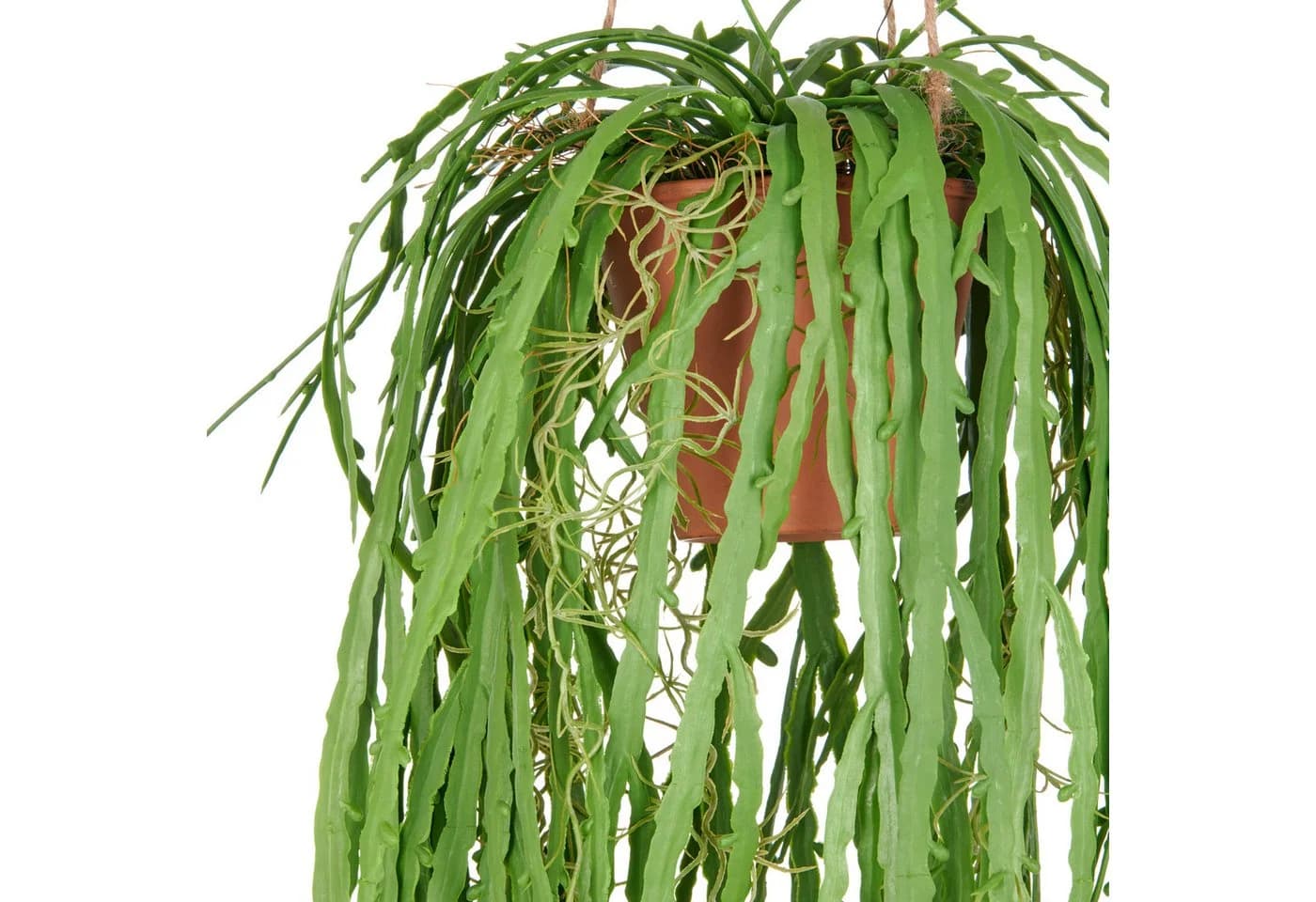 Kunstpflanze Rhipsalis crispata Creativ green Hängend 80 cm - Bild 1