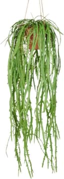 Kunstpflanze Rhipsalis crispata Creativ green Hängend 80 cm Bild 2