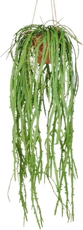 Kunstpflanze Rhipsalis crispata Creativ green Hängend 80 cm - Bild 2