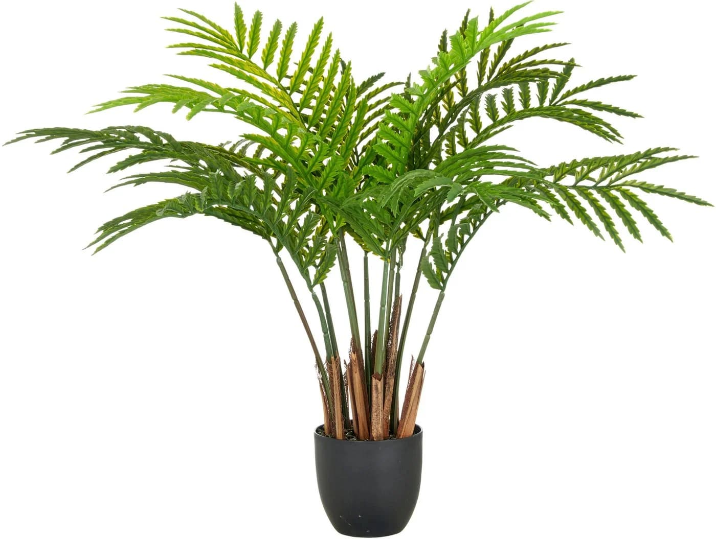 Creativ green Kunstpflanze Sumpf-Lappenfarn Grün 80 cm - Bild 2