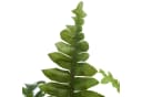 Creativ green Kunstpflanze Bostonfarn Grün 60 cm mit Zinktopf Bild 1