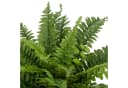 Creativ green Kunstpflanze Bostonfarn Grün 60 cm mit Zinktopf Bild 3