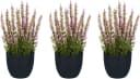 Creativ Green Kunstpflanze Heidepflanze Rosa Kunststoff Bild 2