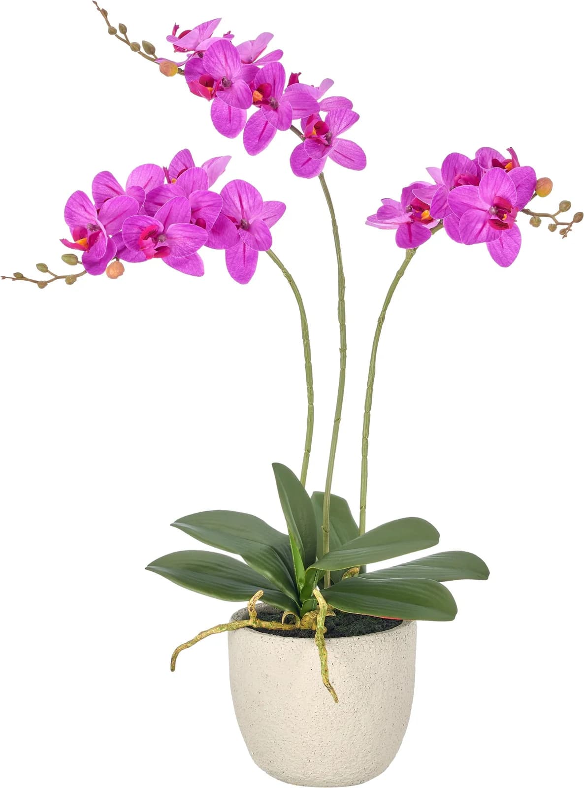 Creativ Green Kunstorchidee Phalaenopsis Pink-Lila 60 cm