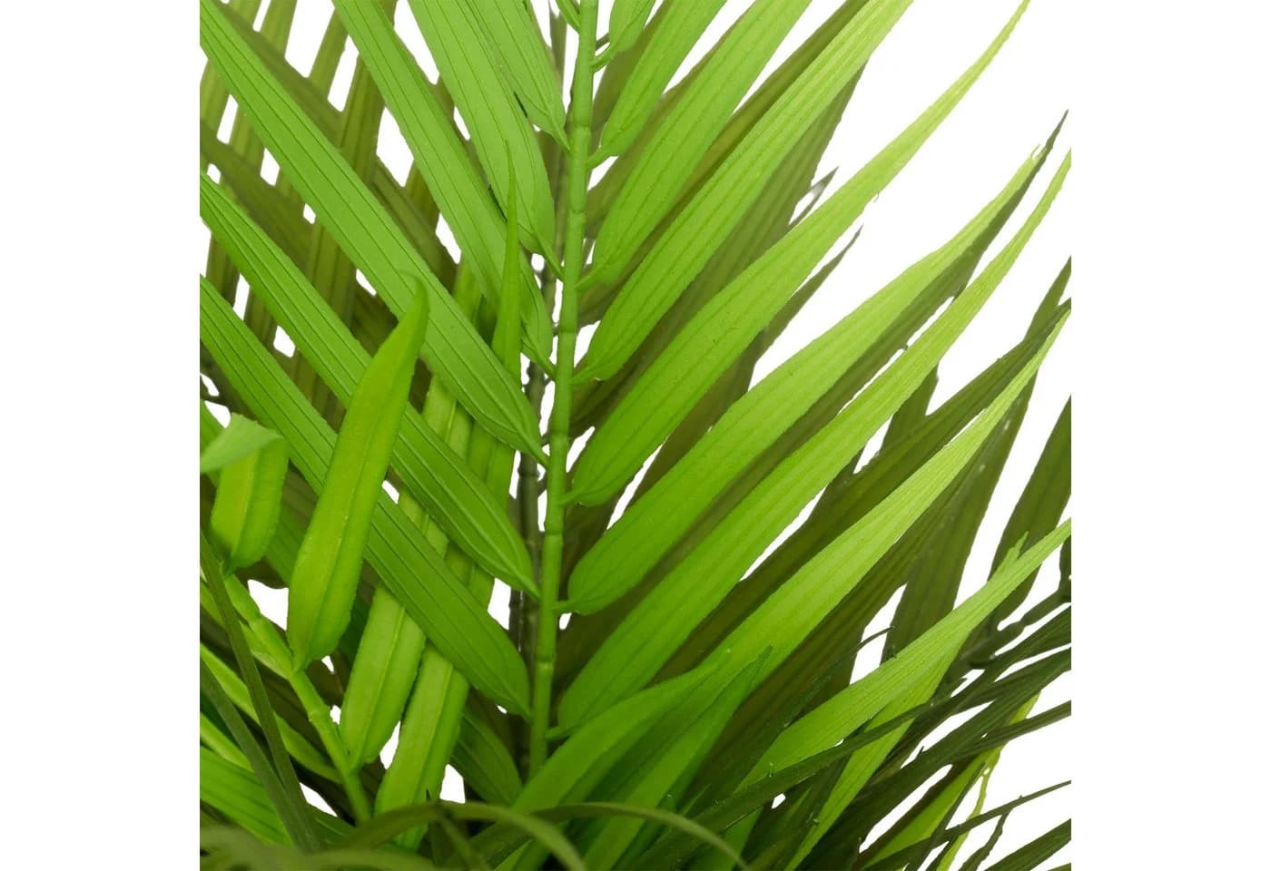 Creativ green Kunstpalme Areca Palme Grün 38 cm - Bild 1