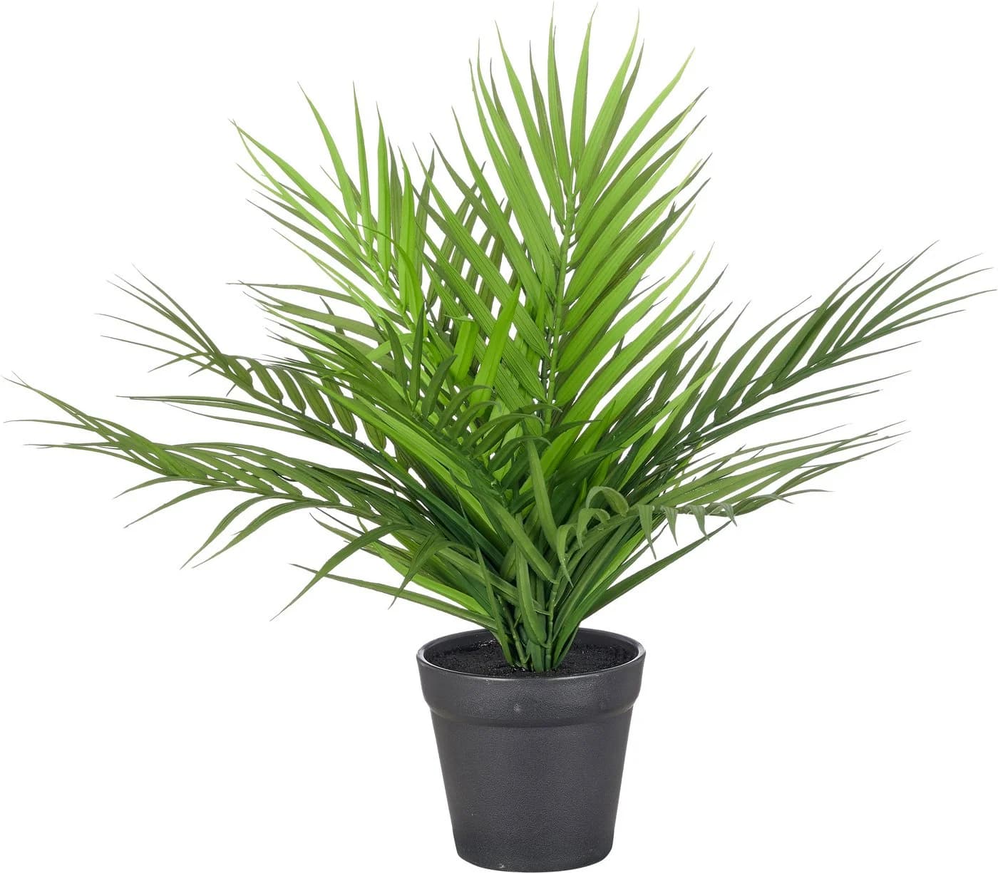 Creativ green Kunstpalme Areca Palme Grün 38 cm - Bild 2
