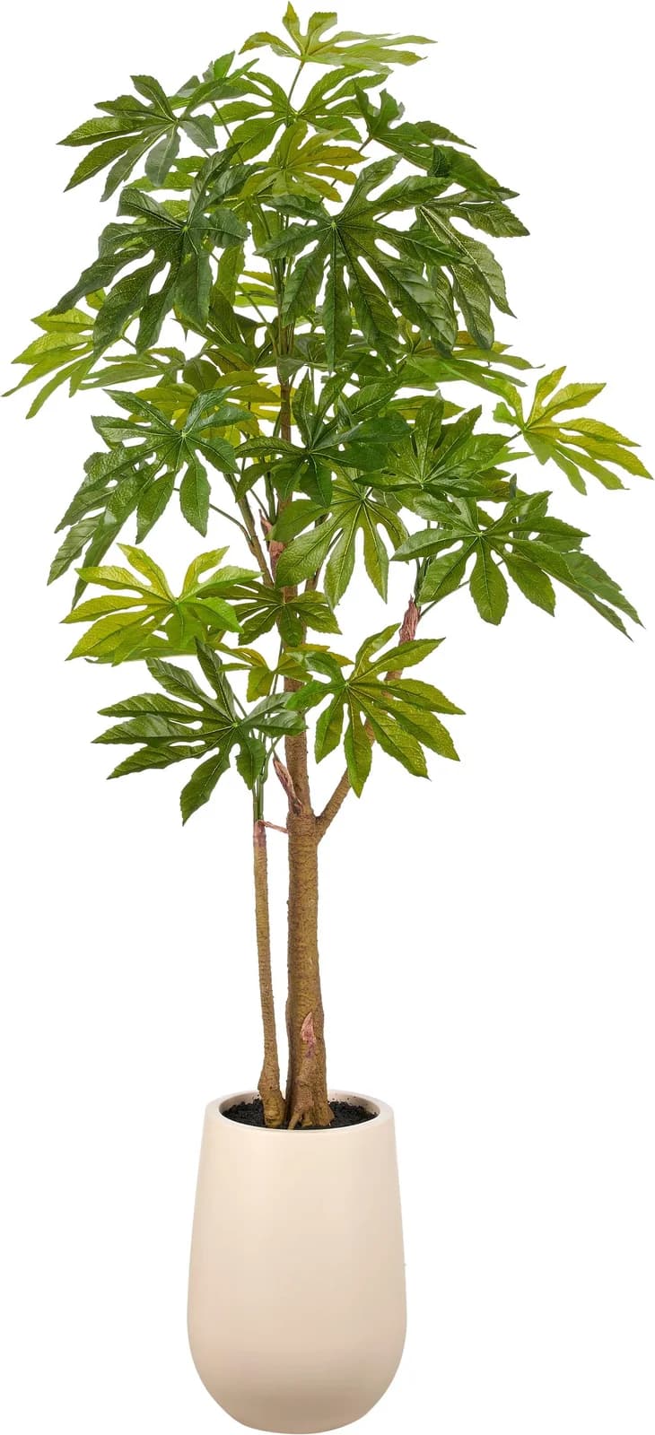 Creativ Green Kunstbaum Aralia japonica Grün 175cm