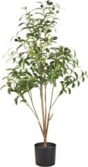 Creativ green Kunstpflanze Olive Grün mit Deko-Früchten Bild 2
