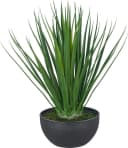 Creativ green Kunstpflanze Yucca gloriosa Grün mit schwarzer Schale Bild 2