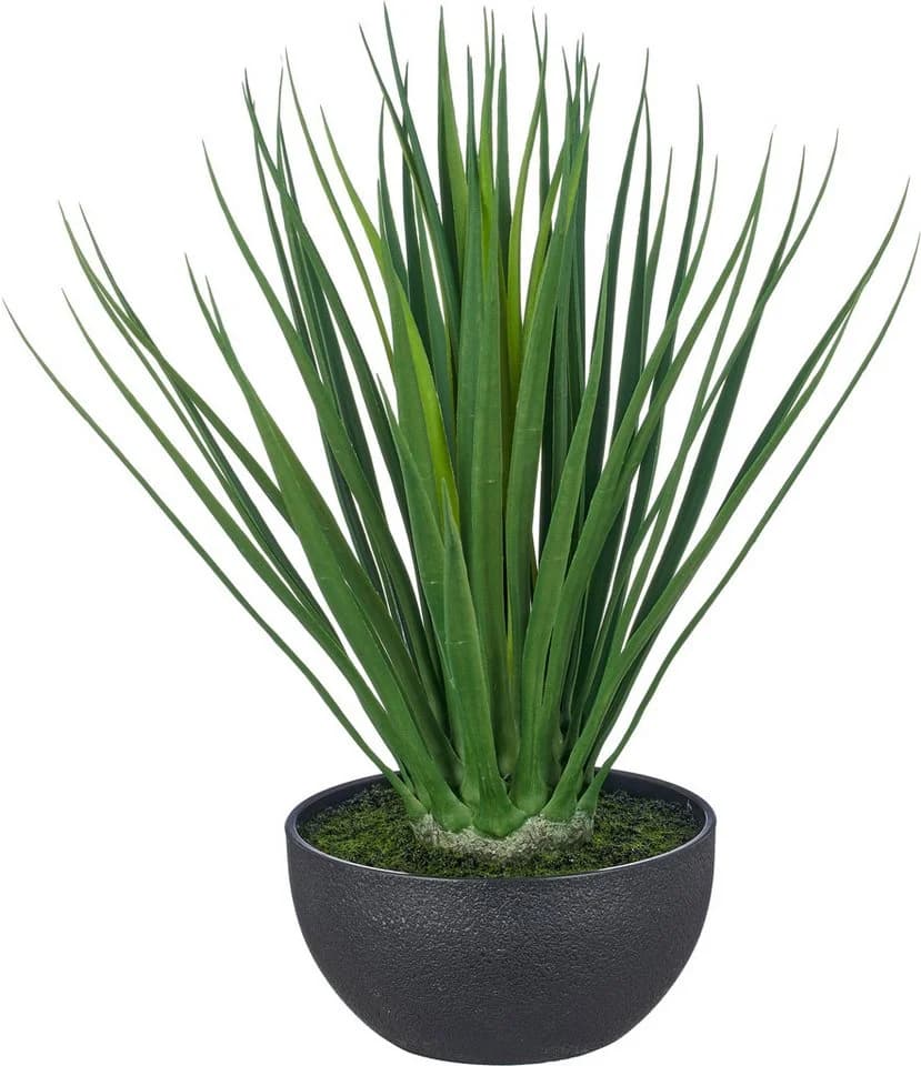 Creativ green Kunstpflanze Yucca gloriosa Grün mit schwarzer Schale - Bild 2
