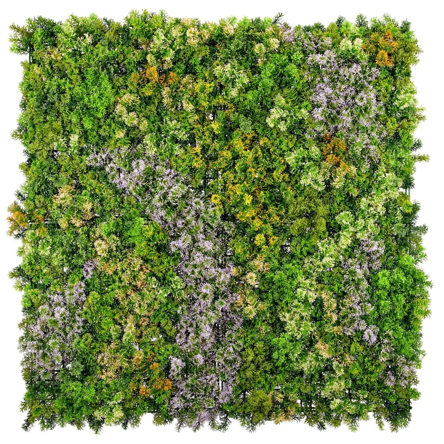 CREATIV GREEN Wandmatte Selaginella-Mix Grün 100x100cm
