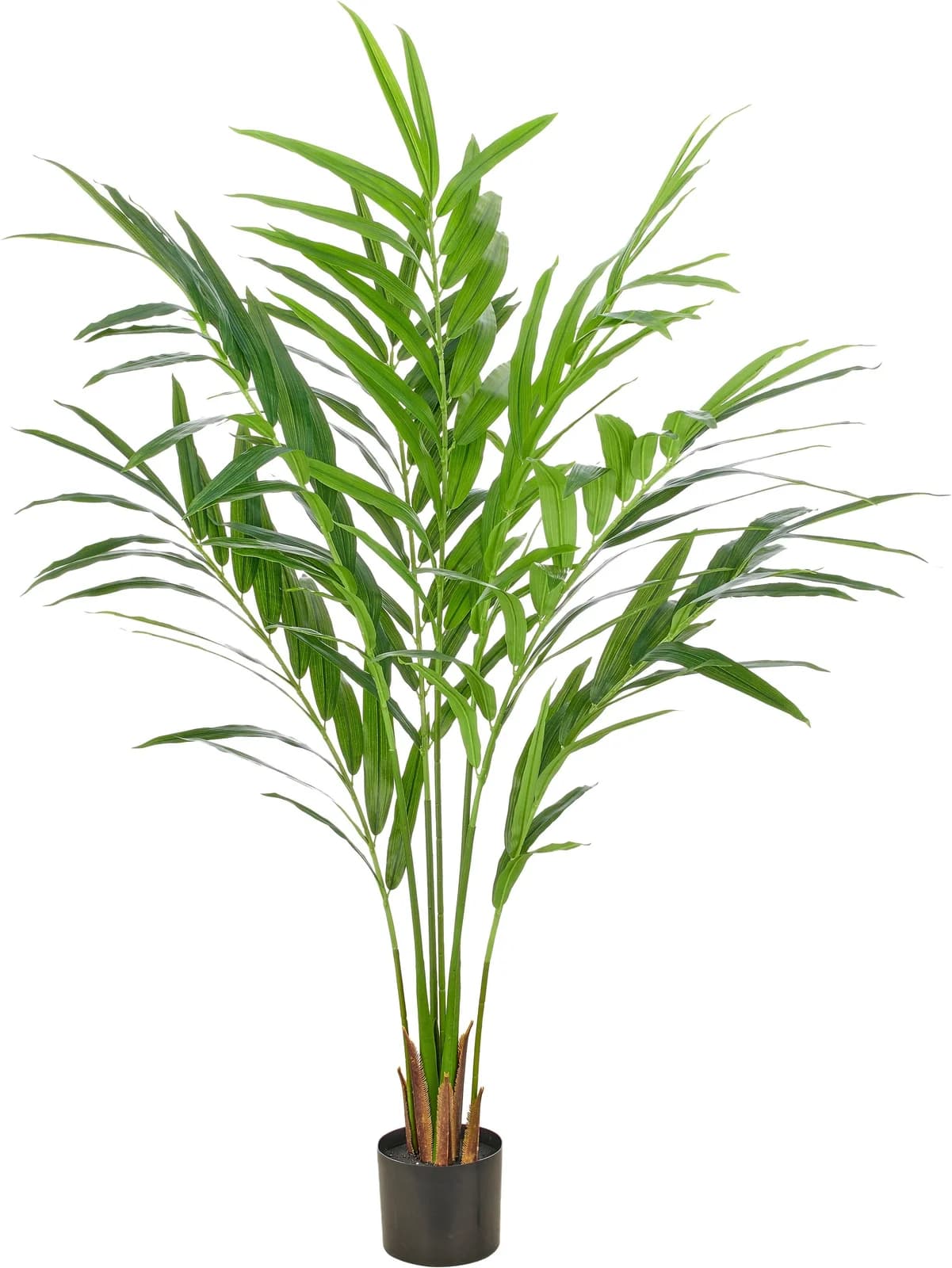 Creativ Green Kunstpalme Kentiapalme Grün 150cm mit Übertopf