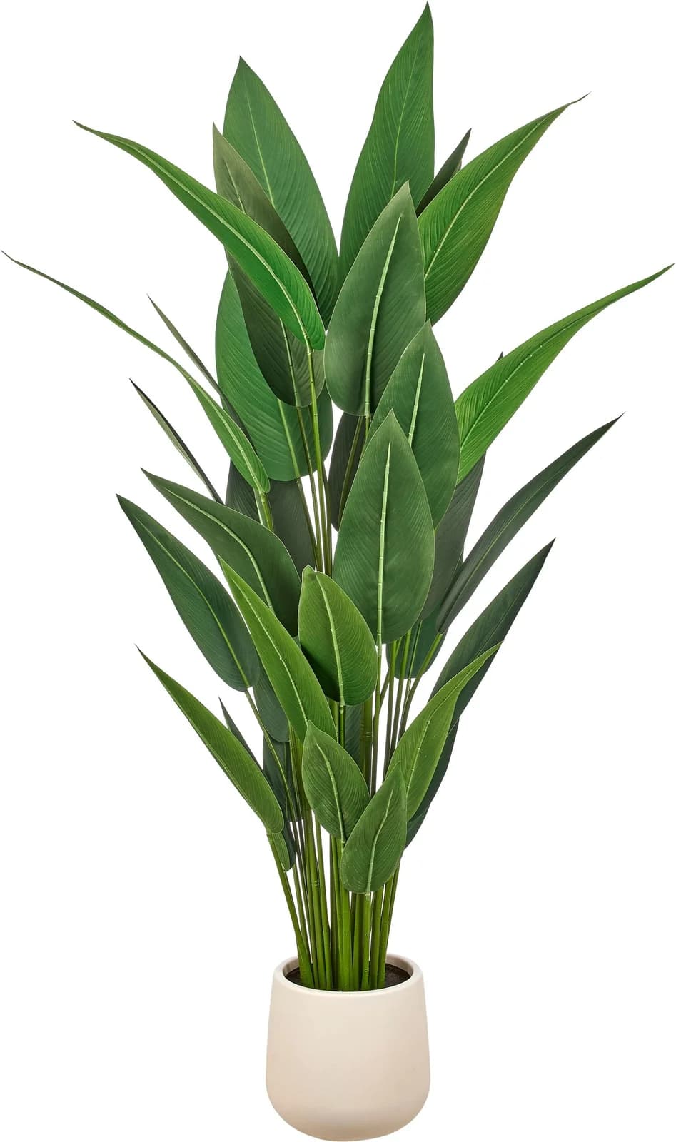 CREATIV GREEN Kunstpflanze Strelitzia reginae Grün 175 cm