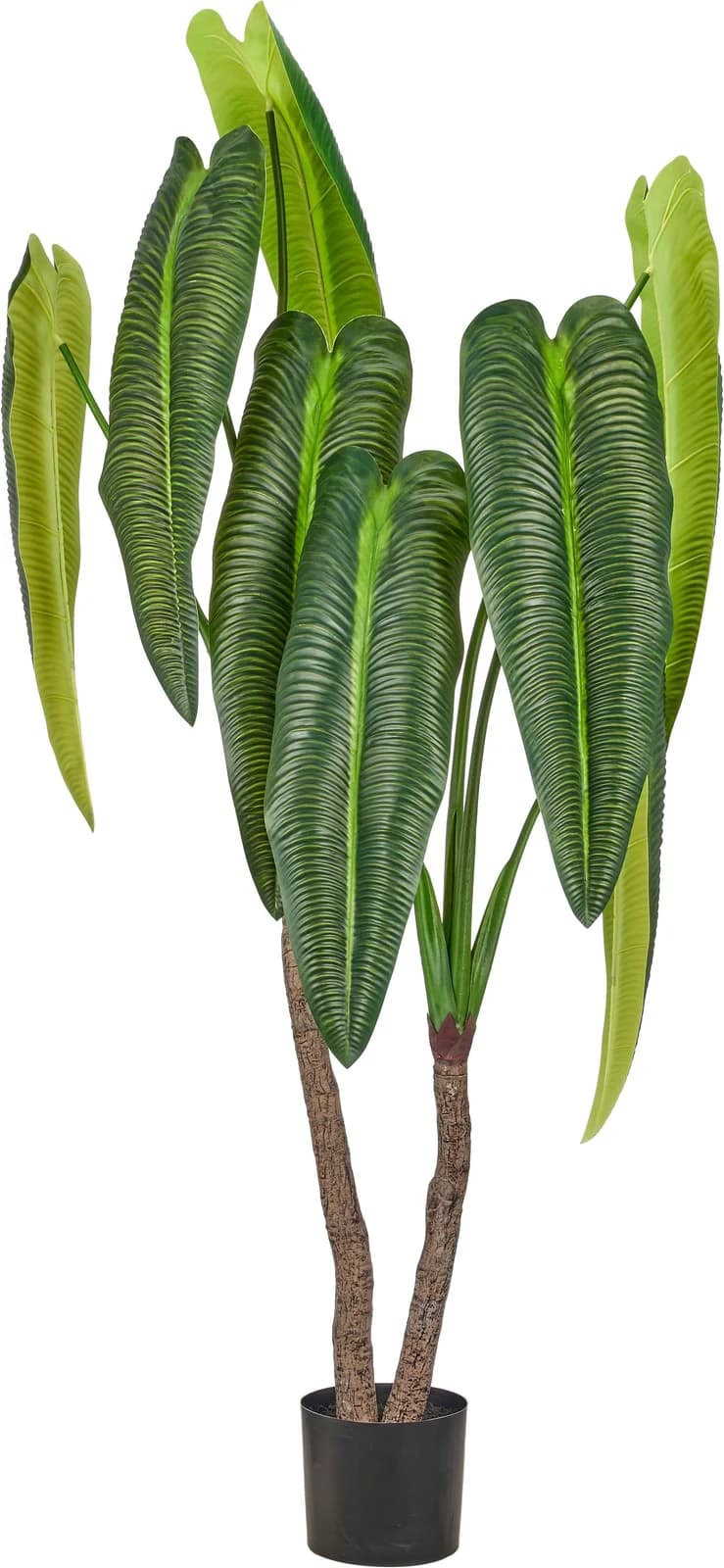 CREATIV GREEN Kunstpflanze Anthurium veitchii Grün 175 cm