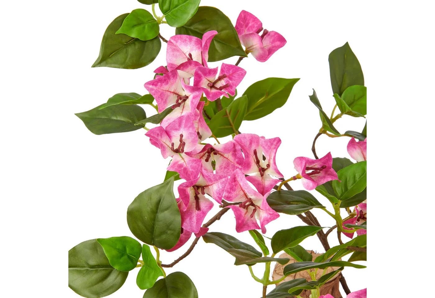 Creativ Green Künstlicher Bougainvillea-Baum Rosa Schwarz 130cm