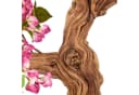 Creativ Green Künstlicher Bougainvillea-Baum Rosa Schwarz 130cm Bild 3