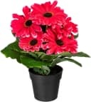 my home Kunstpflanze Elaine Gerbera 2er Set Fuchsia mit Topf Bild 1