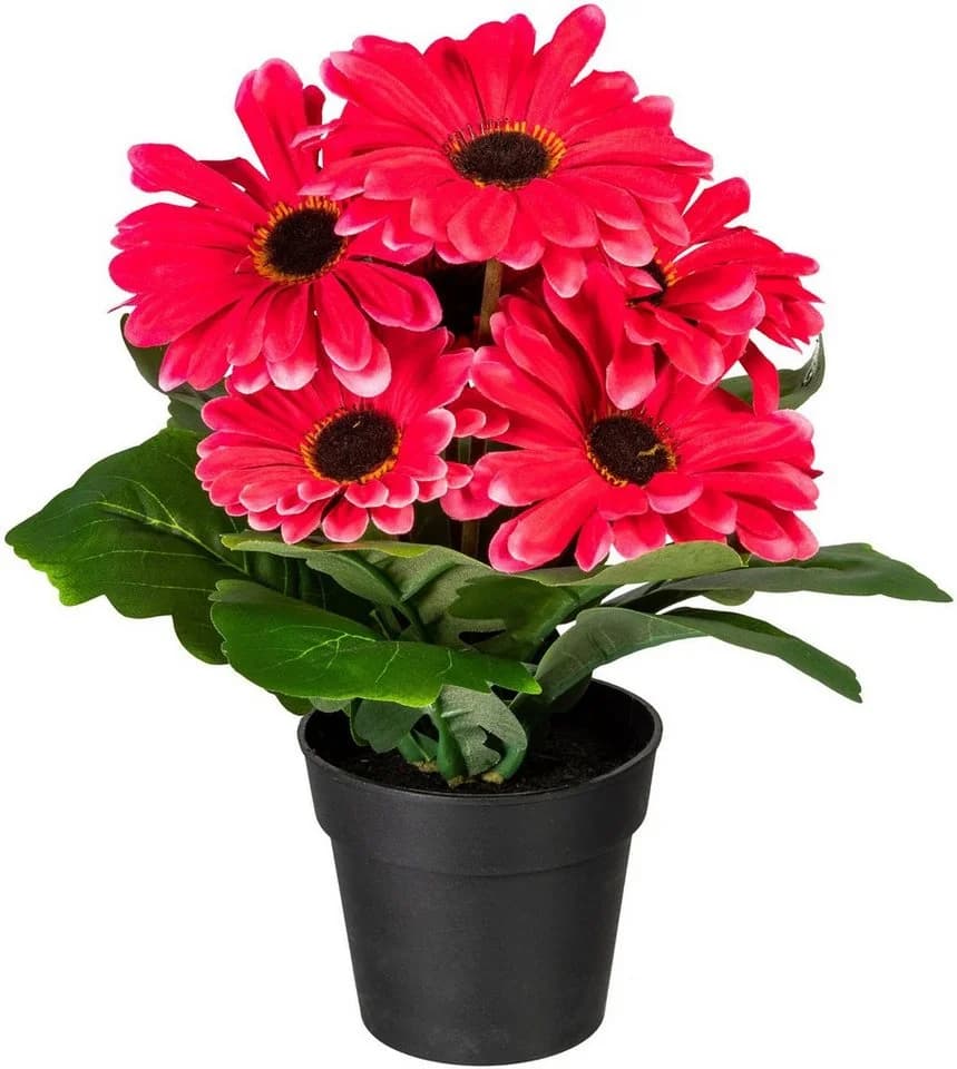 my home Kunstpflanze Elaine Gerbera 2er Set Fuchsia mit Topf