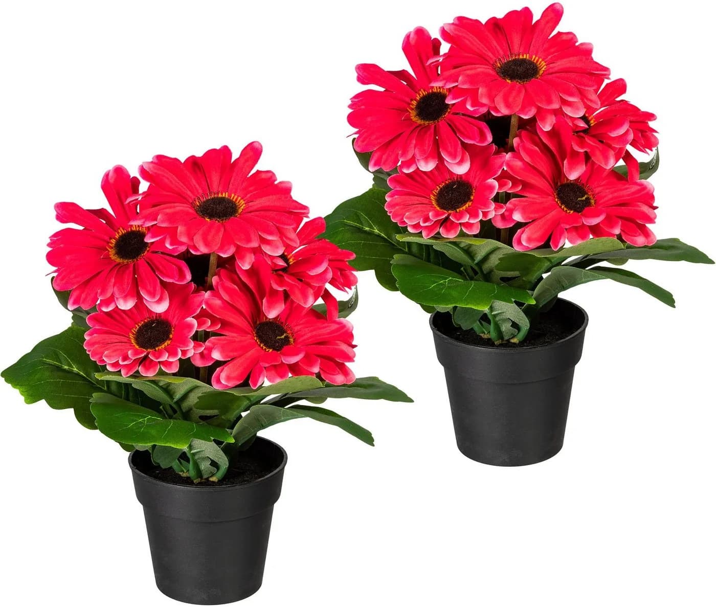 my home Kunstpflanze Elaine Gerbera 2er Set Fuchsia mit Topf - Bild 2