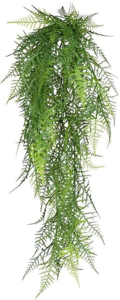 Kunstranke CREATIV GREEN "Hänger Asparagus plumosus" Grün Kunststoff - Bild 2