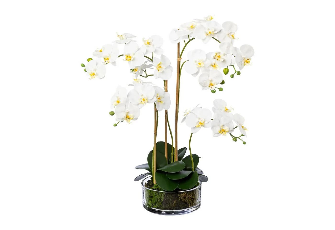 Kunstorchidee Phalaenopsis 60cm Weiß Gasper