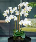 Kunstorchidee Phalaenopsis 60cm Weiß Gasper Bild 2