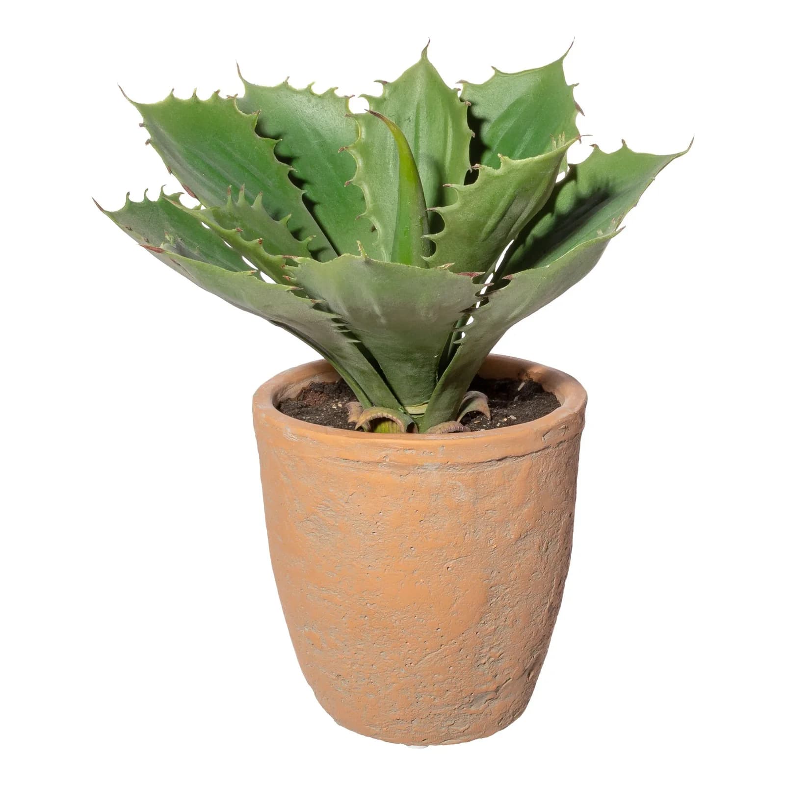 Gasper Kunstpflanze Echeveria Grün Kunststoff