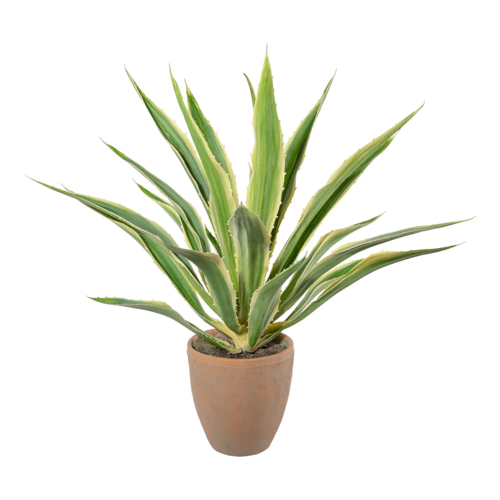 Gasper Kunstpflanze Agave Grün