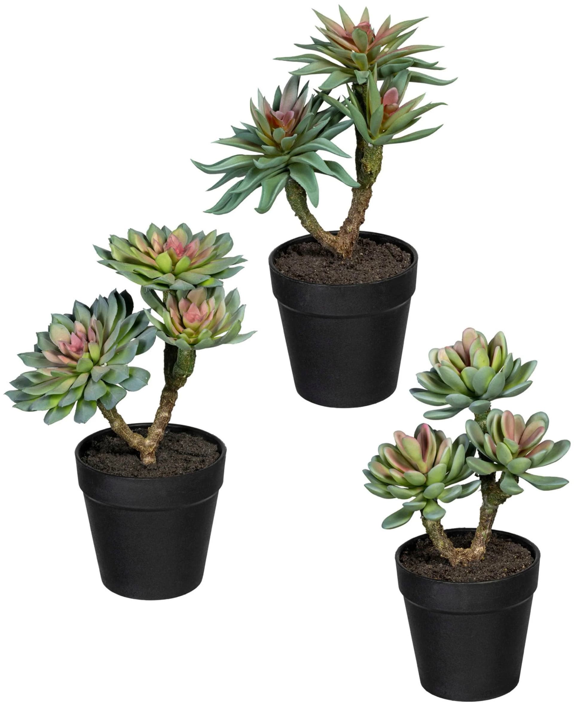 Creativ Green Kunstpflanze Sukkulenten 3er Set Grün/Rosa