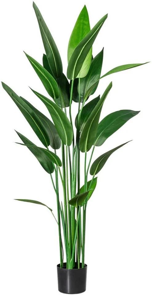 Künstliche Zimmerpflanze Wassercanna 140 cm Creativ green