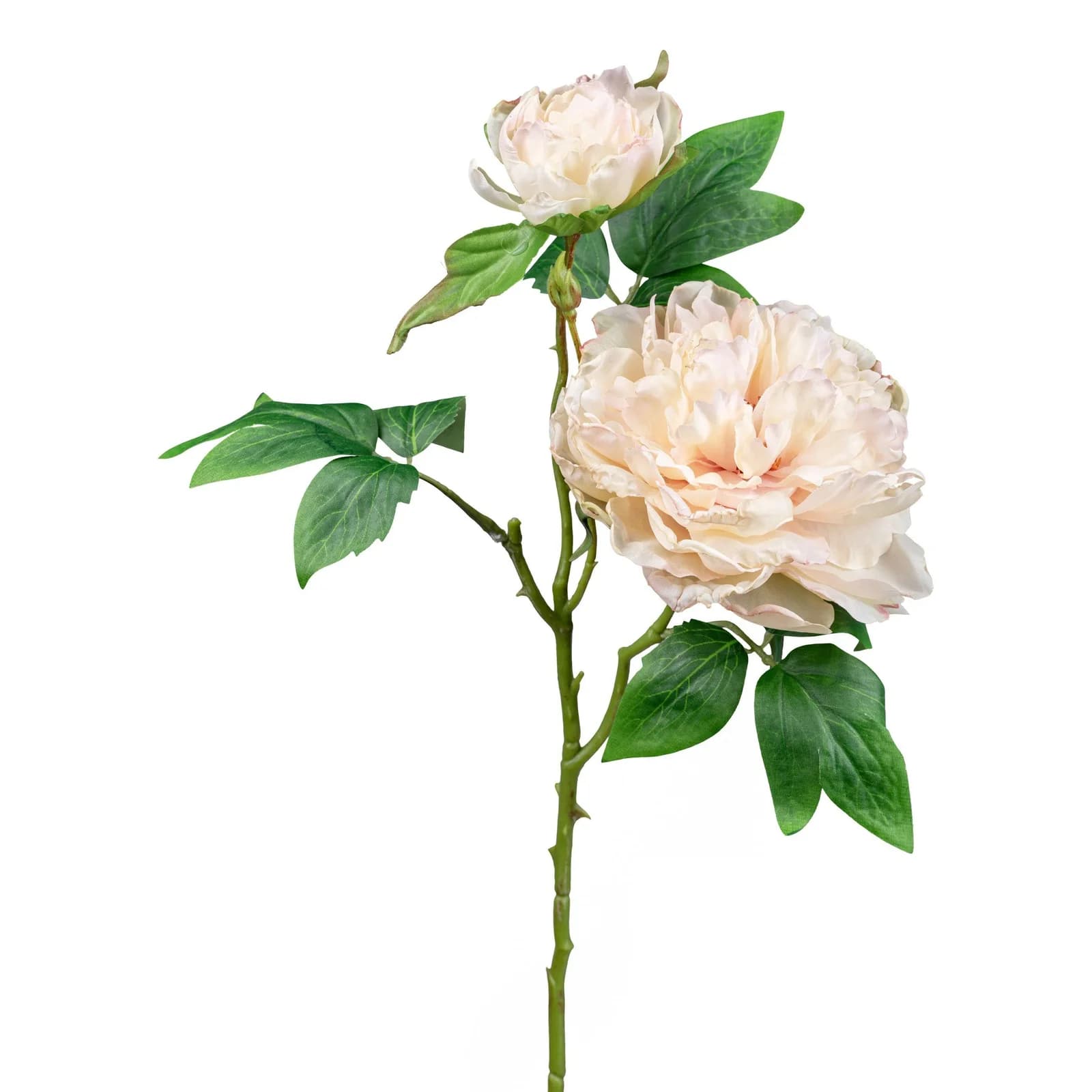 Gasper Kunstblume Peonie Champagner
