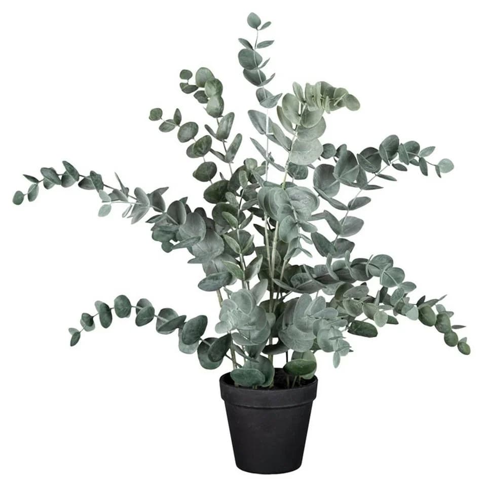 Gasper Kunstpflanze Eukalyptus im Topf Grün