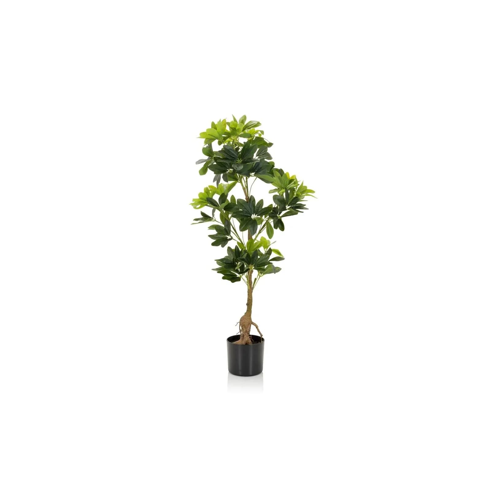 hjh OFFICE Kunstpflanze Schefflera Grün Kunststoff