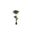 hjh OFFICE Mid.you Kunstpflanze ACACIA Grün Real-Touch Bild 1
