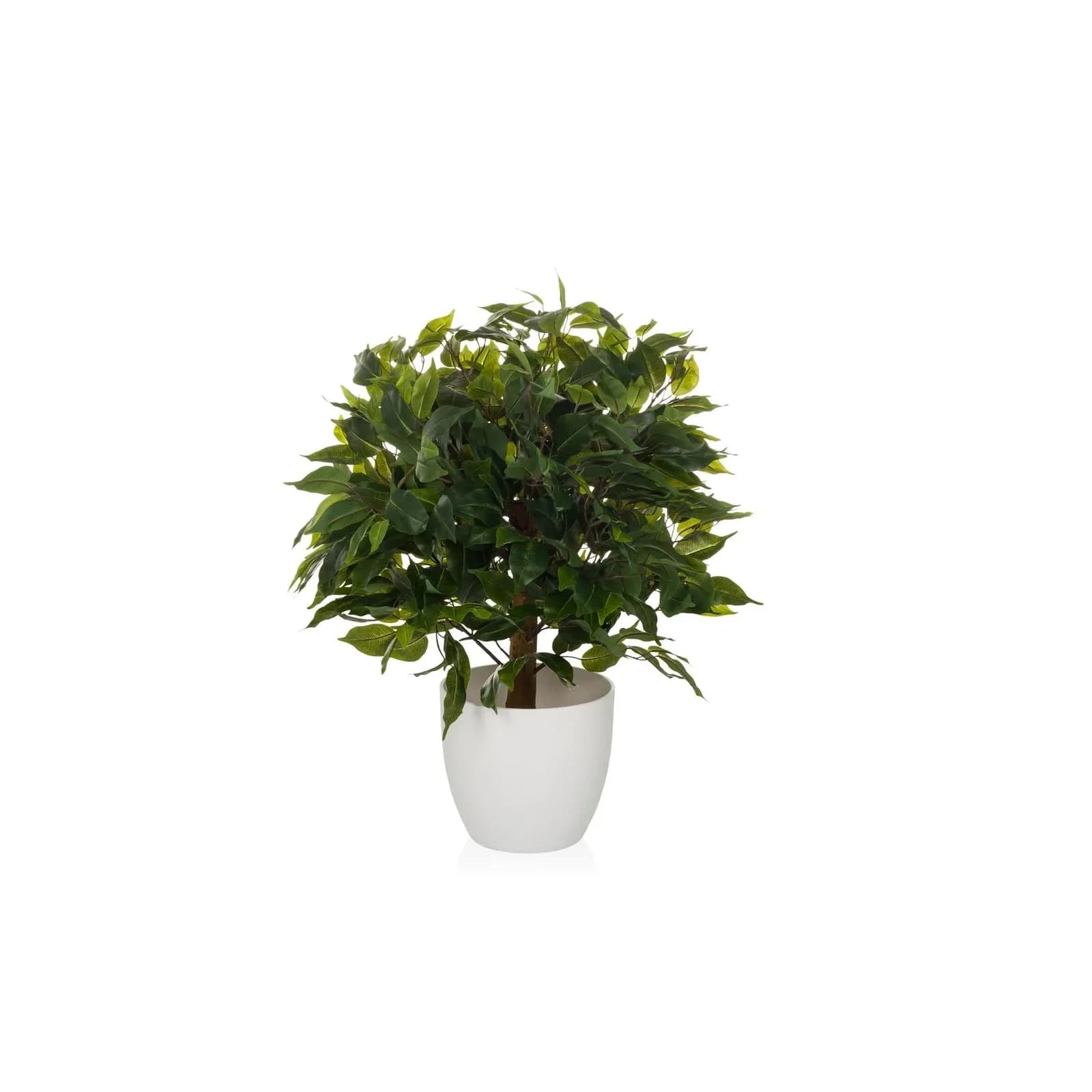 hjh OFFICE Kunstpflanze FICUS II Grün Kunststoff