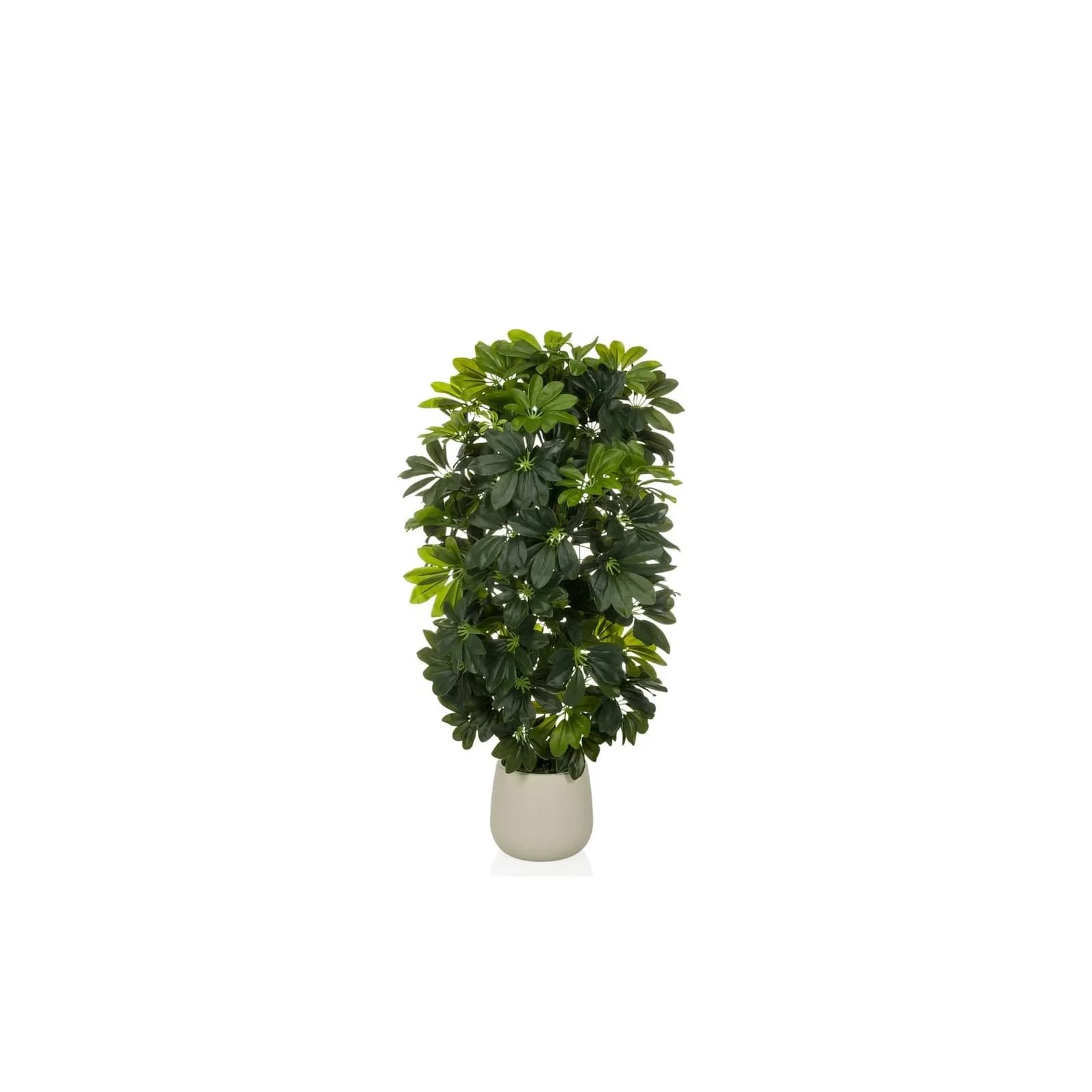 hjh OFFICE Kunstpflanze Schefflera 2 Strahlenaralie 110 cm
