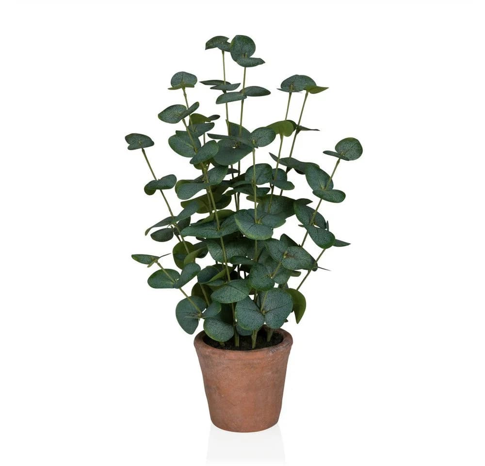 Kunstpflanze Eukalyptus Kunststoff 48 cm hjh OFFICE - Bild 2