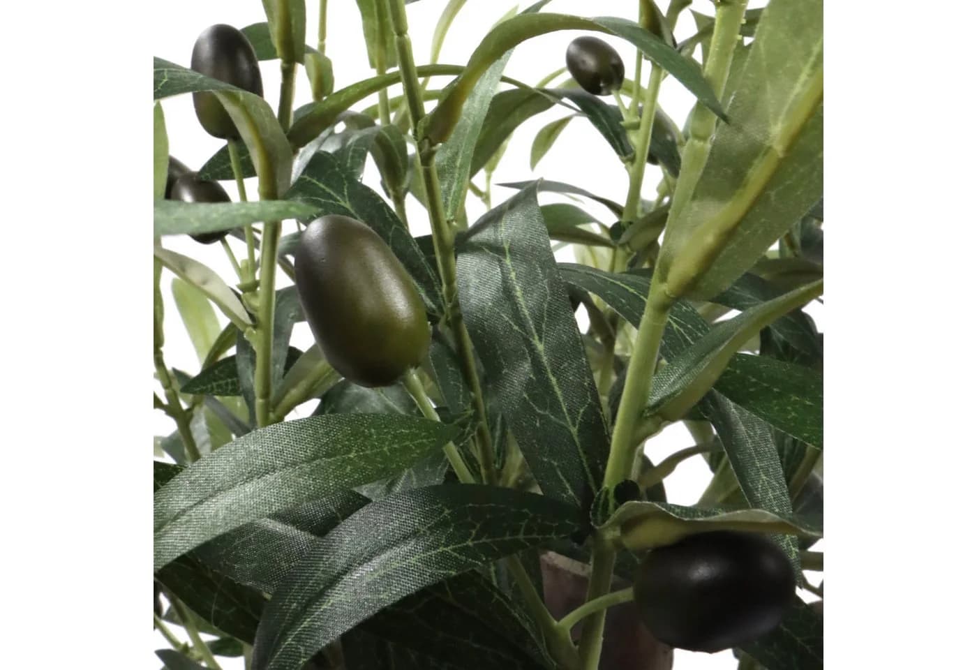 hjh OFFICE Kunstpflanze Olive S Kunststoff Grün - Bild 5