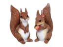 Dragimex Eichhörnchen Dekofigur 2er Set Braun Polyresin Bild 2