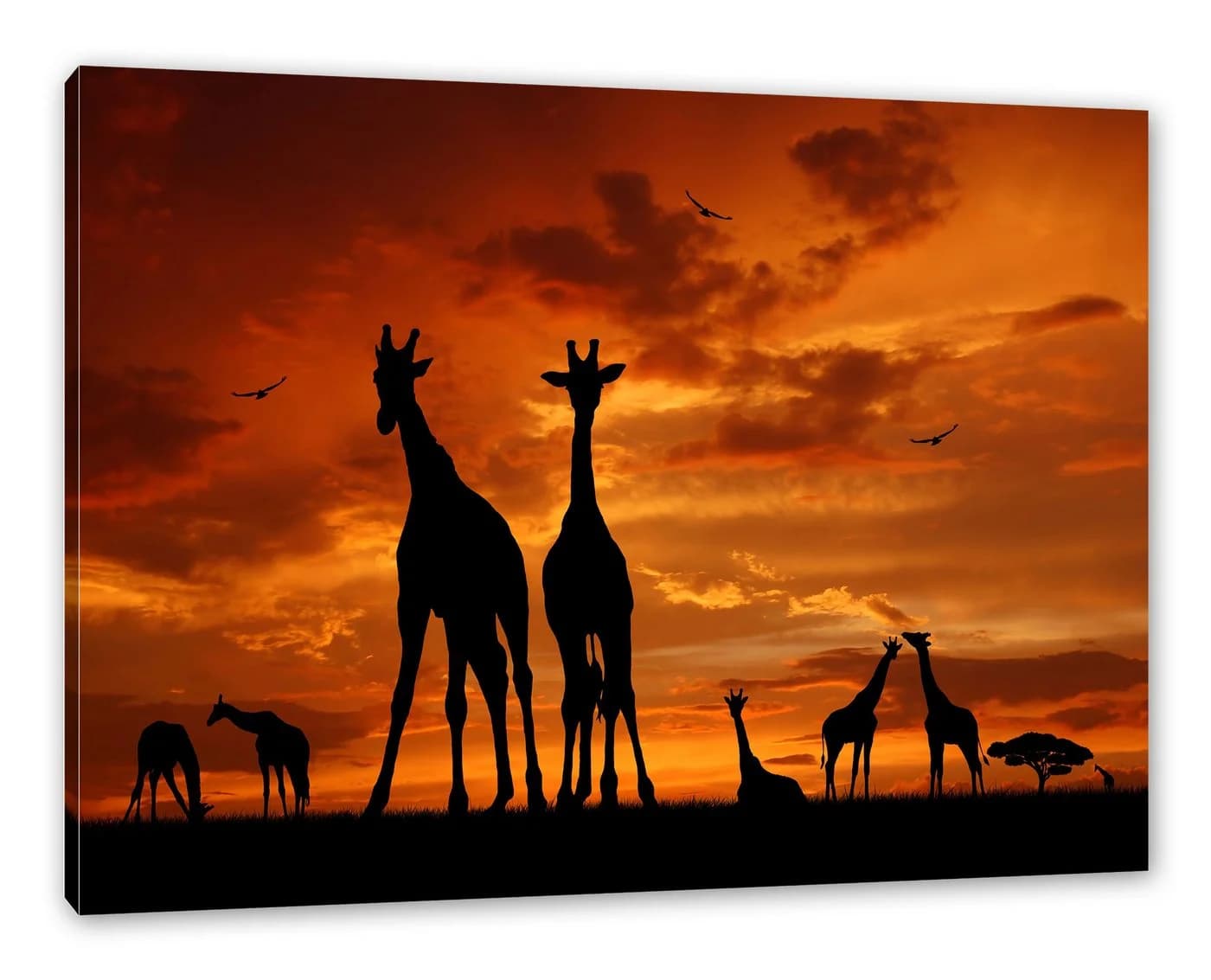 Pixxprint Leinwandbild Giraffen im Sonnenuntergang Bunt - Bild 2