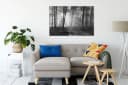 Pixxprint Leinwandbild Wald mit Sonnenstrahlen Bunt Bild 1
