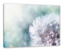Pixxprint Leinwandbild Zauberhafte Pusteblume Bunt Bild 2