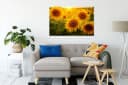 Pixxprint Leinwandbild Sonnenblumen auf dem Feld Bunt Gelb Bild 1