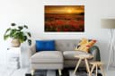 Pixxprint Leinwandbild Mohnblütenfeld bei Sonnenuntergang Bunt Bild 1