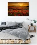 Pixxprint Leinwandbild Mohnblütenfeld bei Sonnenuntergang Bunt Bild 3