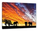 Pixxprint Leinwandbild Elefanten in Wüste Bunt Bild 2