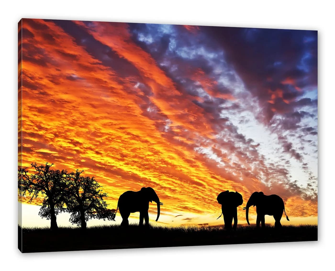 Pixxprint Leinwandbild Elefanten in Wüste Bunt - Bild 2