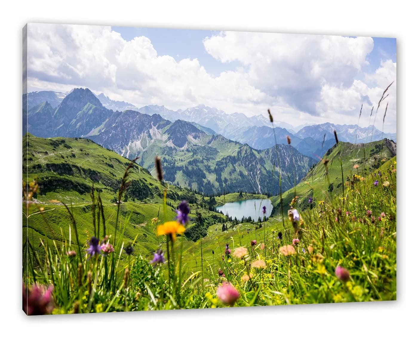 Pixxprint Leinwandbild Wiesenblumen in den Bergen Bunt - Bild 2