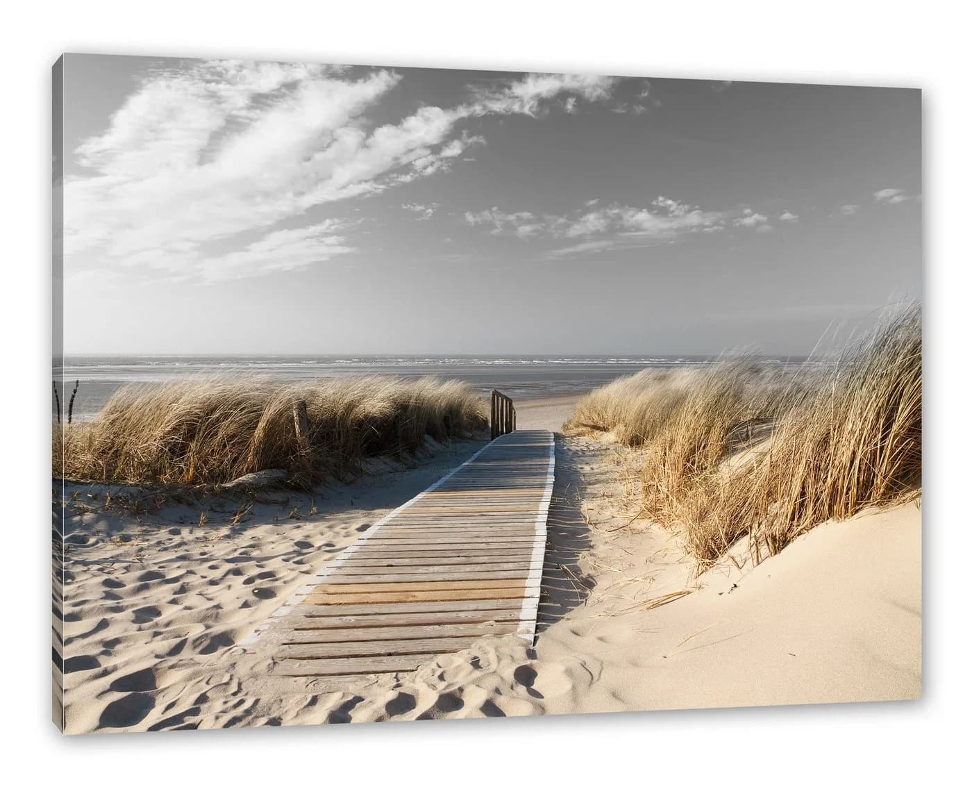 Pixxprint Leinwandbild Weg zum Strand durch die Dünen B&W Detail - Bild 2