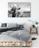 Pixxprint Leinwandbild Neugierige Kuh Allgäu Monochrome Bild 3